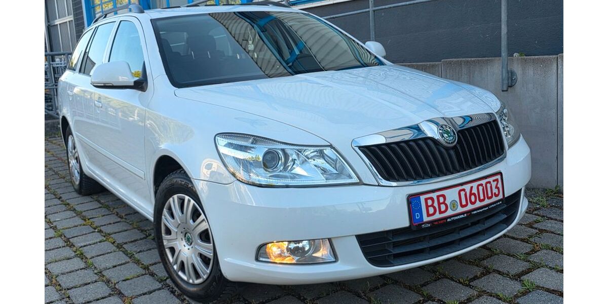 Skoda Octavia 162.000 km 3.600 &euro; Holzgerlingen 71088