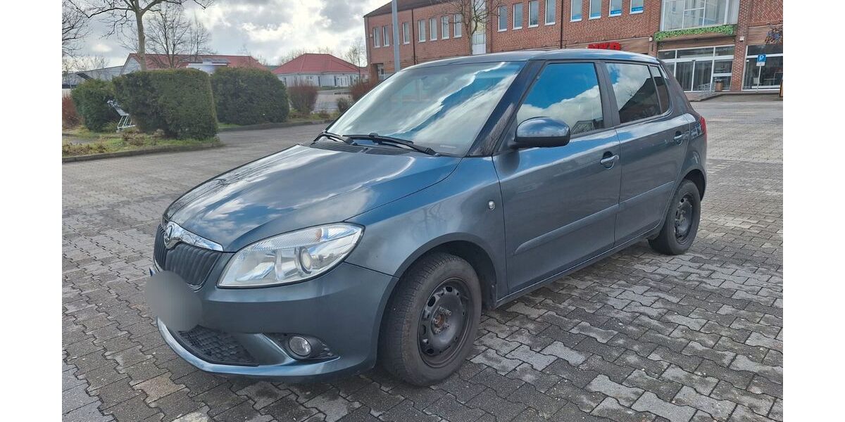Skoda Fabia 132.000 km 5.100 &euro; Trebsen 04687