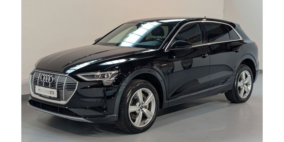 Audi e-tron 25.000 km 28.975 &euro; Ellerhoop bei Hamburg 25373