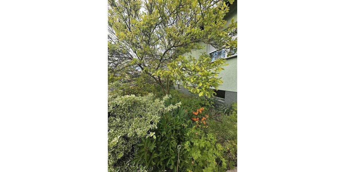 Einfamilienhaus Bad Liebenwerda - 115.000&euro; | Angebot:26624028