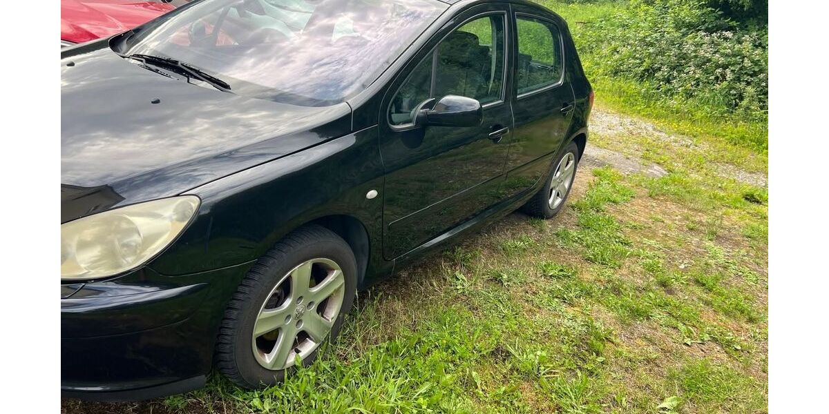 Peugeot 307 164.335 km 1.000 &euro; Baiersbronn 72270