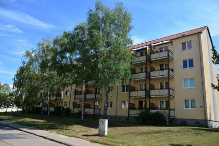 Wohnung Sangerhausen - 2 Zimmer, 60 m&sup2;, 384&euro; | Angebot:26359590