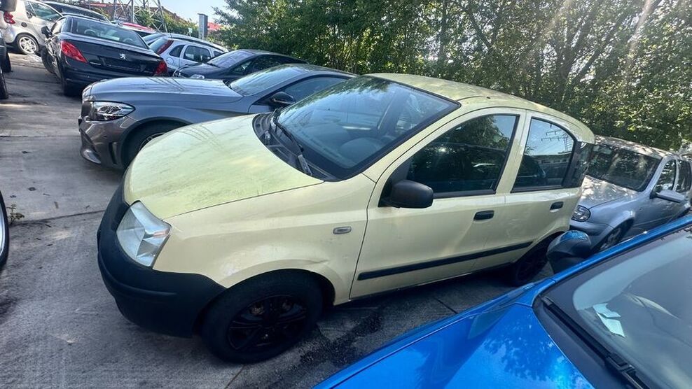 Panda