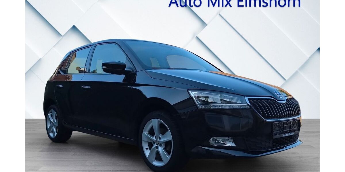 Skoda Fabia 59.116 km 10.300 &euro; Elmshorn 25335