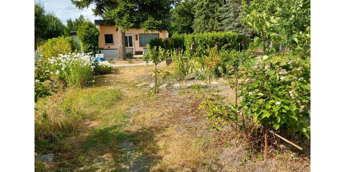 Einfamilienhaus Magdeburg Lemsdorf - 39.000&euro; | Angebot:26432026