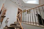 Einfamilienhaus zum verkaufen