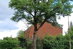Familienfreundlich: Endreihenhaus in St. Gertrud, nahe Stadtpark, nahe Kindergarten ! Förderfähig - Reihenendhaus Lübeck Burgtor / Stadtpark | Angebot:26931786