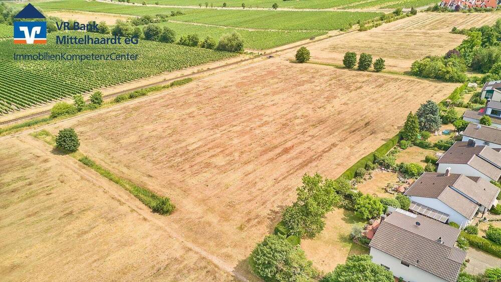 Grundstück Wachenheim - 311.850&euro; | Angebot:23975020