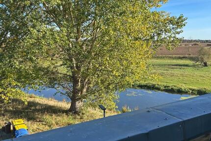 2 Raumwohnung mit tollem Ausblick 2 zimmer