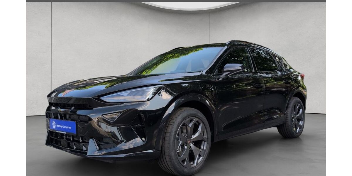 Cupra Formentor 12.500 km 38.980 &euro; Rendsburg 24768