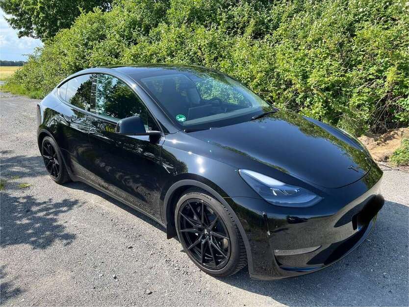 Model Y