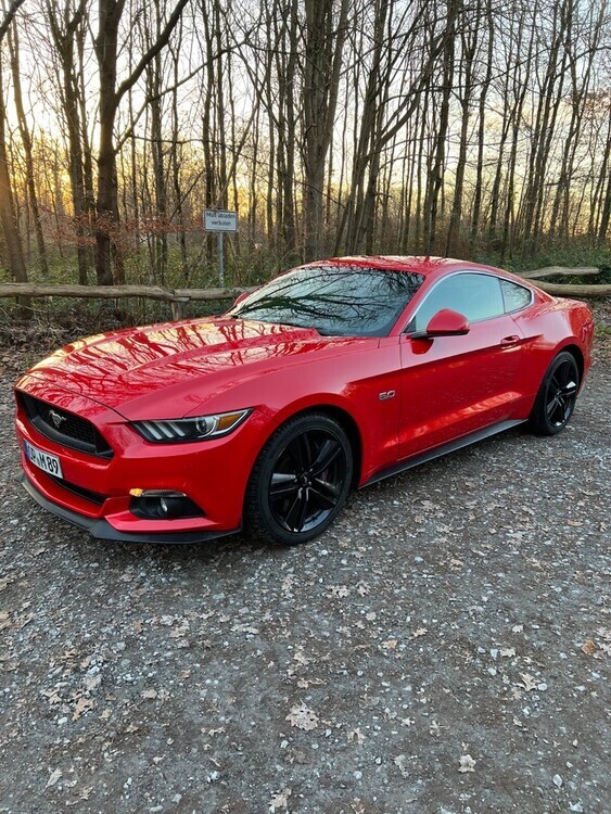 Mustang