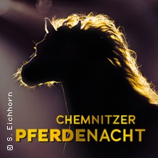 Chemnitzer Pferdenacht 2025 08.11.2025 Messe Chemnitz