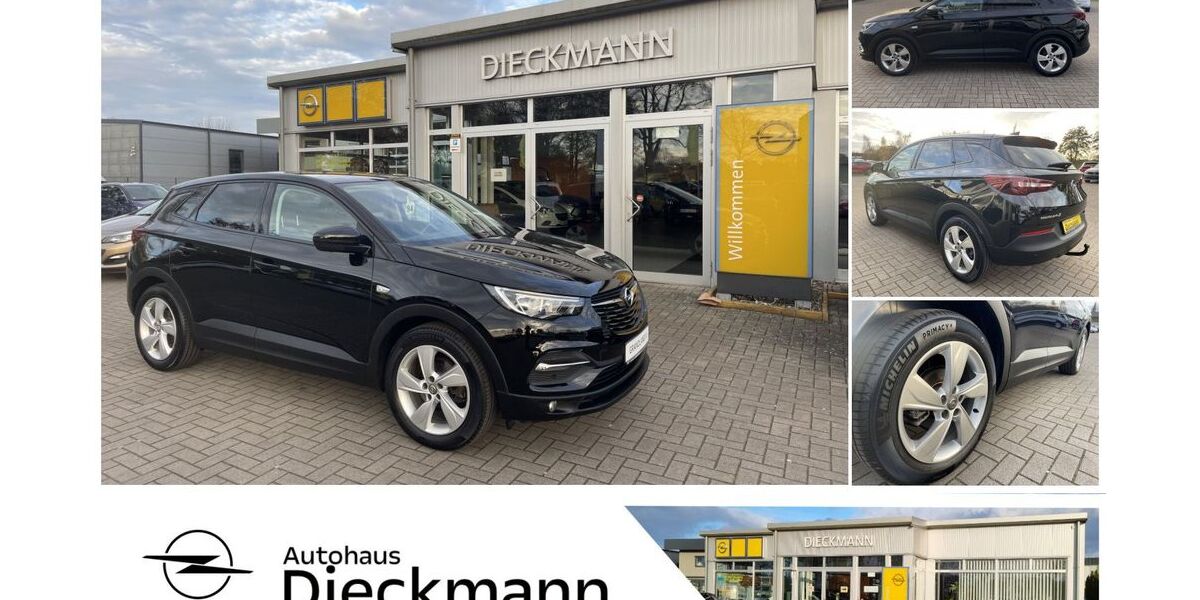 Opel Grandland (X) 80.718 km 13.940 &euro; Worpswede 27726
