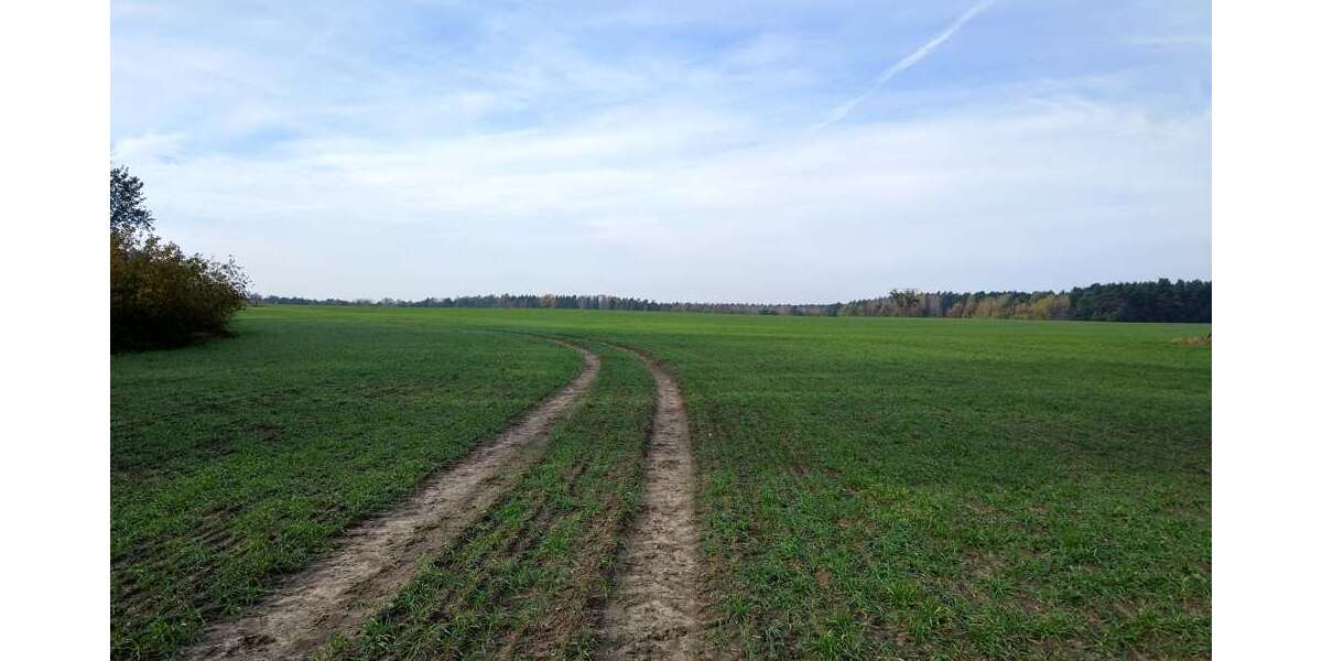 Grundstück Stahnsdorf / Güterfelde Güterfelde - 49.000&euro; | Angebot:22533375