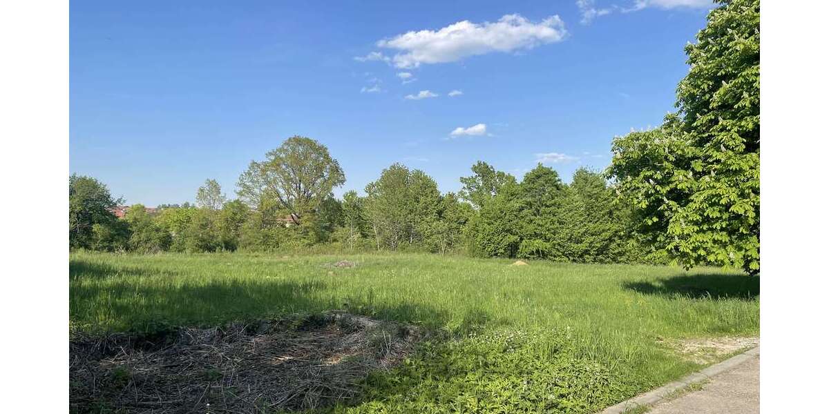 Grundstück zu verkaufen in Wallhausen 230.000 € 4545 m² - Grundstück Wallhausen | Angebot:25806931