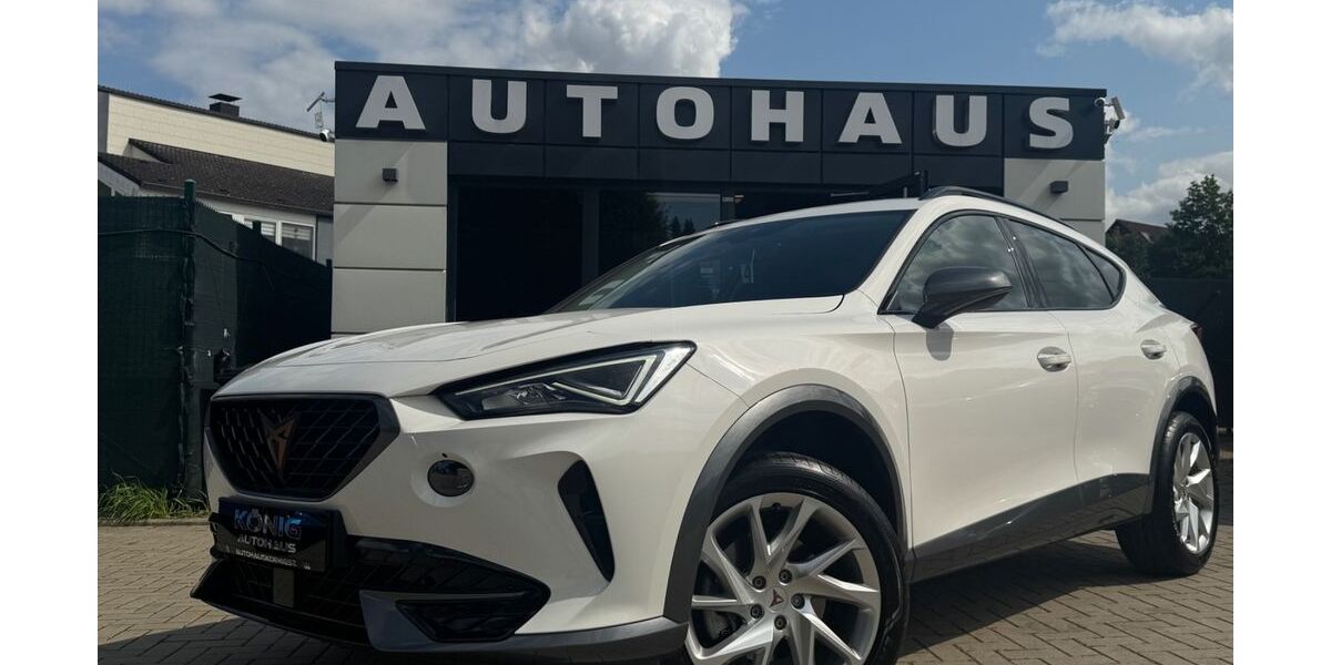 Cupra Formentor 19.800 km 24.999 &euro; Salzgitter 38259