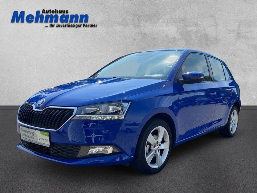 Skoda Fabia 15.135 km 12.600 € Berge 49626
