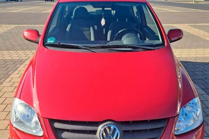 VW Fox