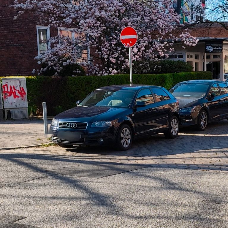 A3