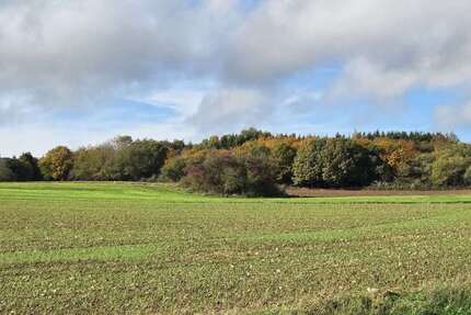 Haus zum Kaufen in Blankenheim 750.000 € 200 m² 7 zimmer