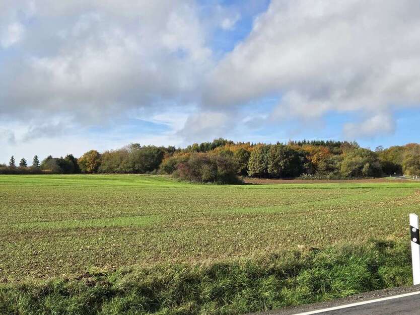 Haus zum Kaufen in Blankenheim 750.000 € 200 m² 7 zimmer