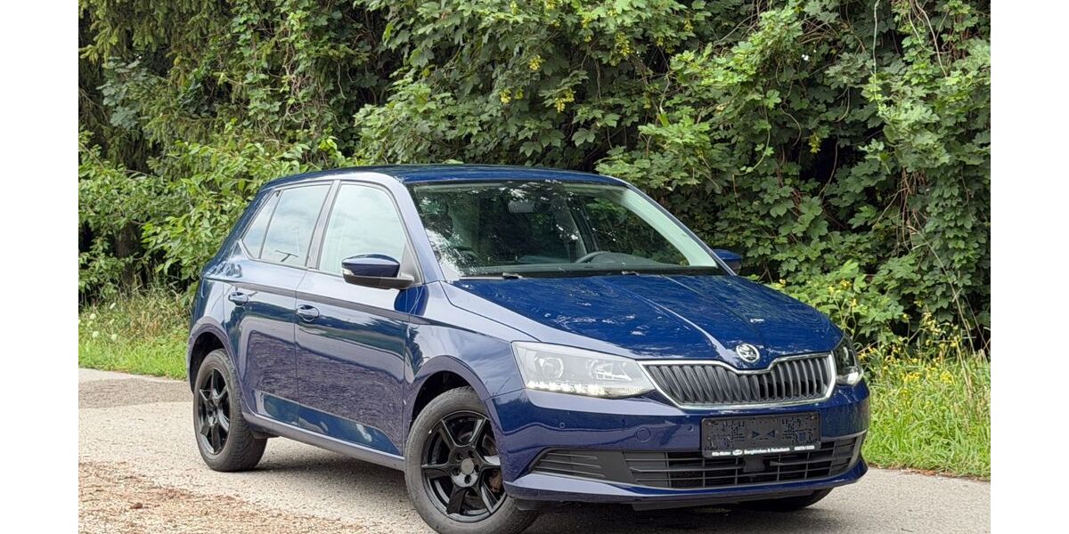 Skoda Fabia 124.832 km 5.990 &euro; Tiefenbach 84184