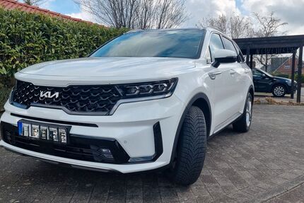 Kia Sorento 46.500 km 38.400 &euro; Rickert 24782