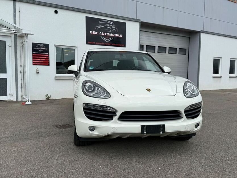 Cayenne