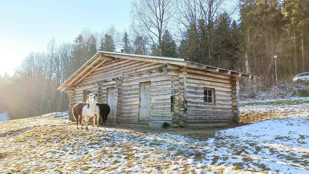 Gewerbeobjekt Pobershau Pobershau - 599.000&euro; | Angebot:25776690