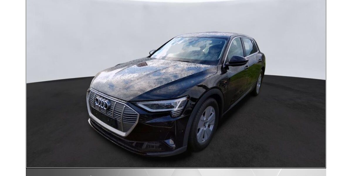 Audi e-tron 55.204 km 27.870 &euro; Helmstedt 38350