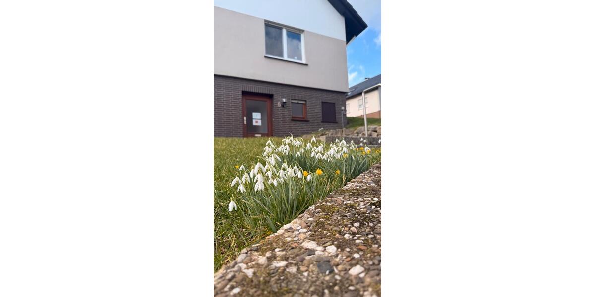Einfamilienhaus Kalletal - 5 Zimmer, 150 m&sup2;, 1.270&euro; | Angebot:26385273