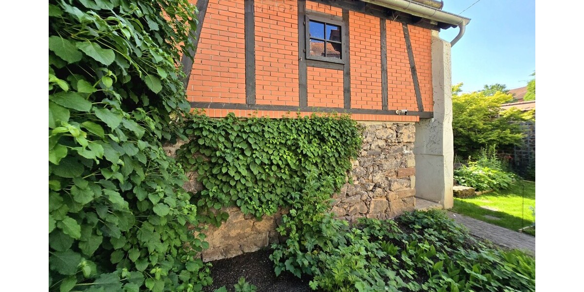 Einzigartige Perle! Wunderschönes Bauernaus mit Atelier, hochwertig saniert - Einfamilienhaus Wadern | Angebot:27010250