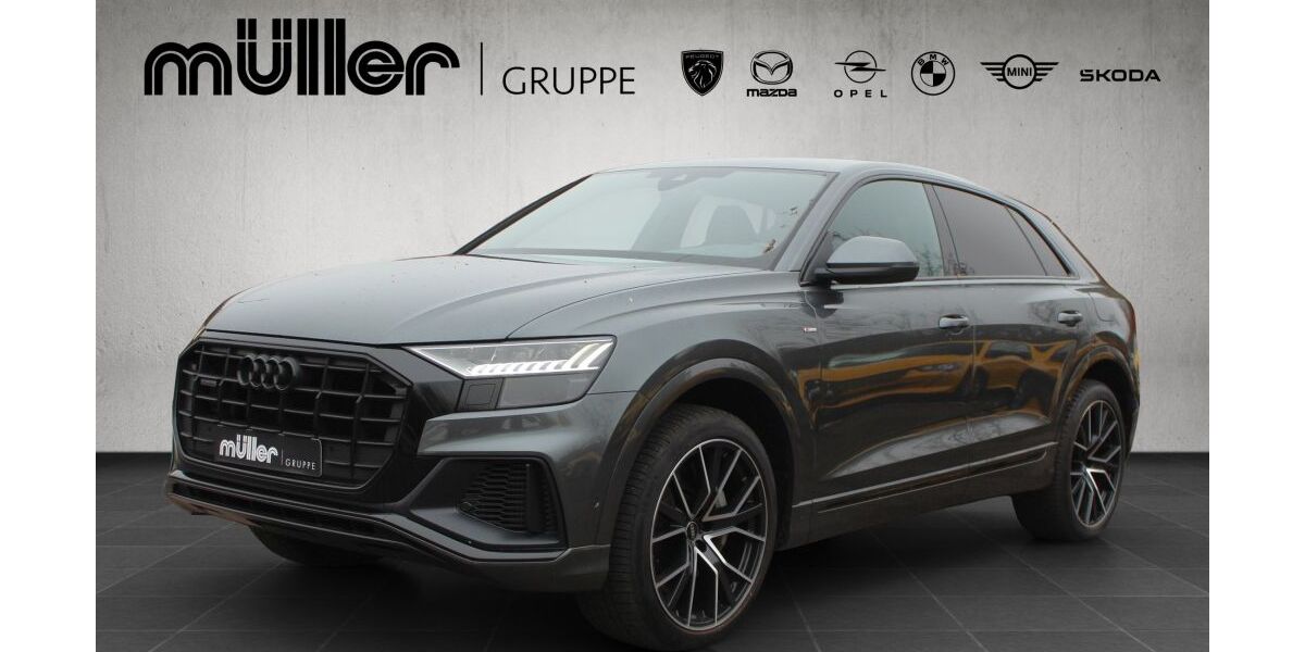 Audi Q8 123.130 km 50.940 &euro; Losheim am See 66679
