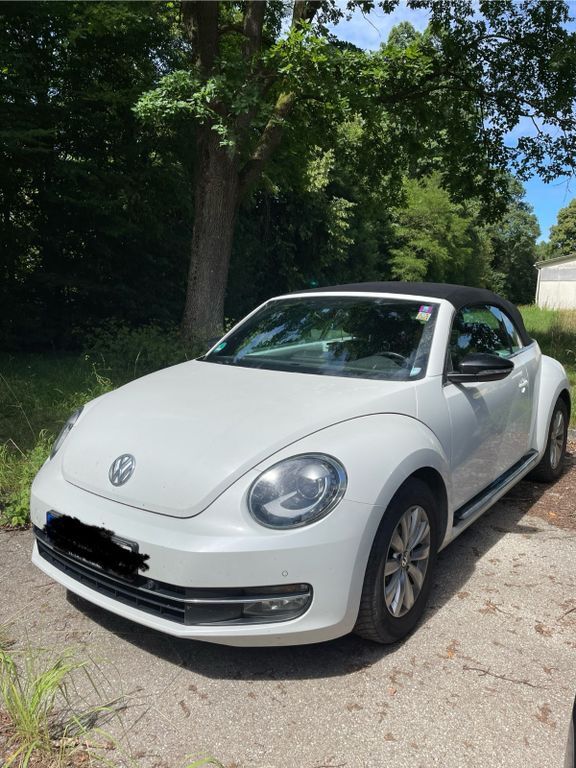 Beetle