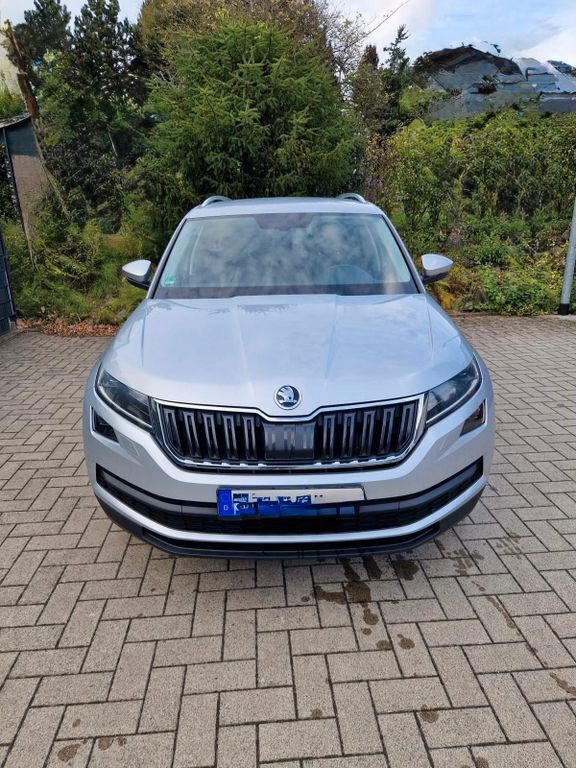 Skoda Kodiaq 156.000 km 16.900 € Fröndenberg 58730