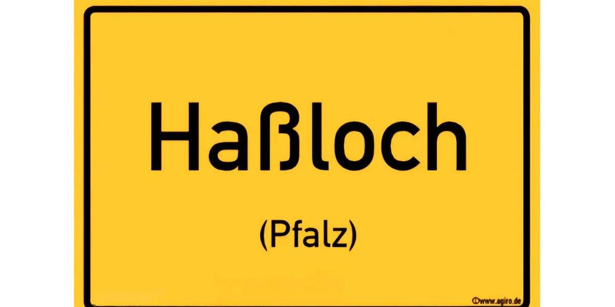 Charmante Dachgeschoss Wohnung 4 zimmer