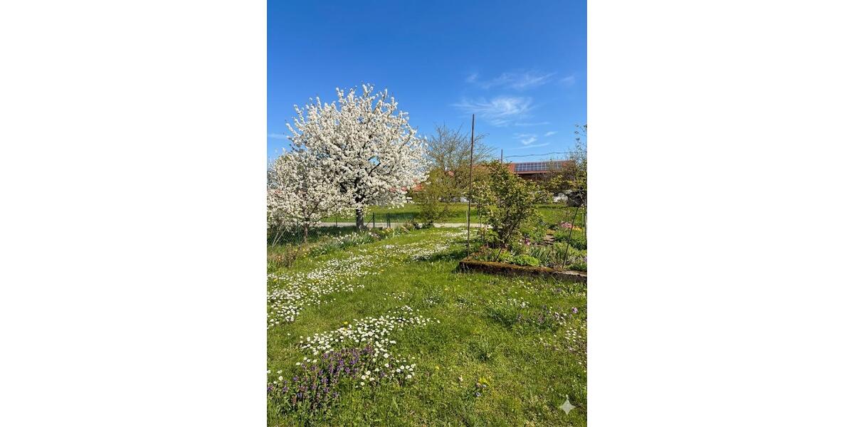 Mehrfamilienhaus, Wohnhaus Palling - 8.5 Zimmer, 256 m&sup2;, 695.000&euro; | Angebot:26421539