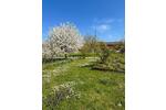 Mehrfamilienhaus, Wohnhaus Palling - 8.5 Zimmer, 256 m&sup2;, 695.000&euro; | Angebot:26421539