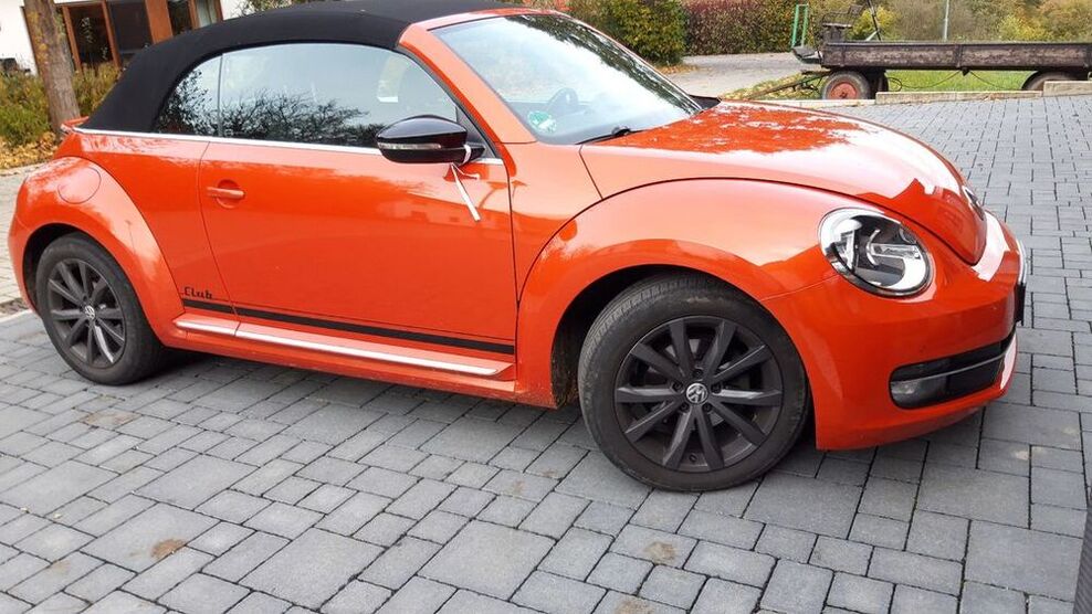 Beetle