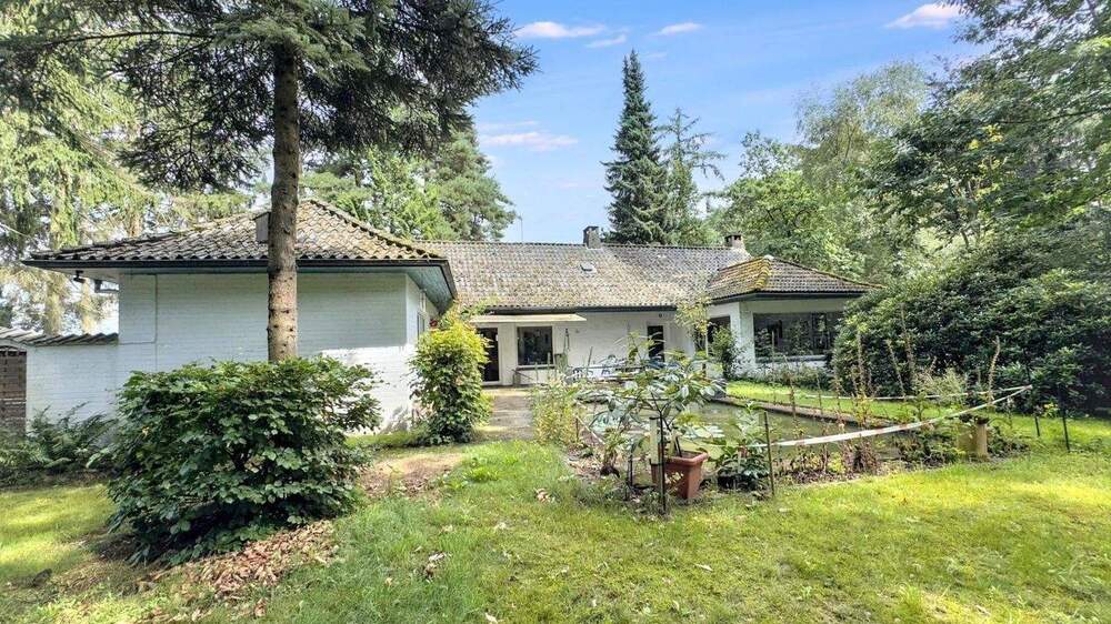 Bequemer Bungalow mit großem Grundstück und naturnaher Lage 3 zimmer
