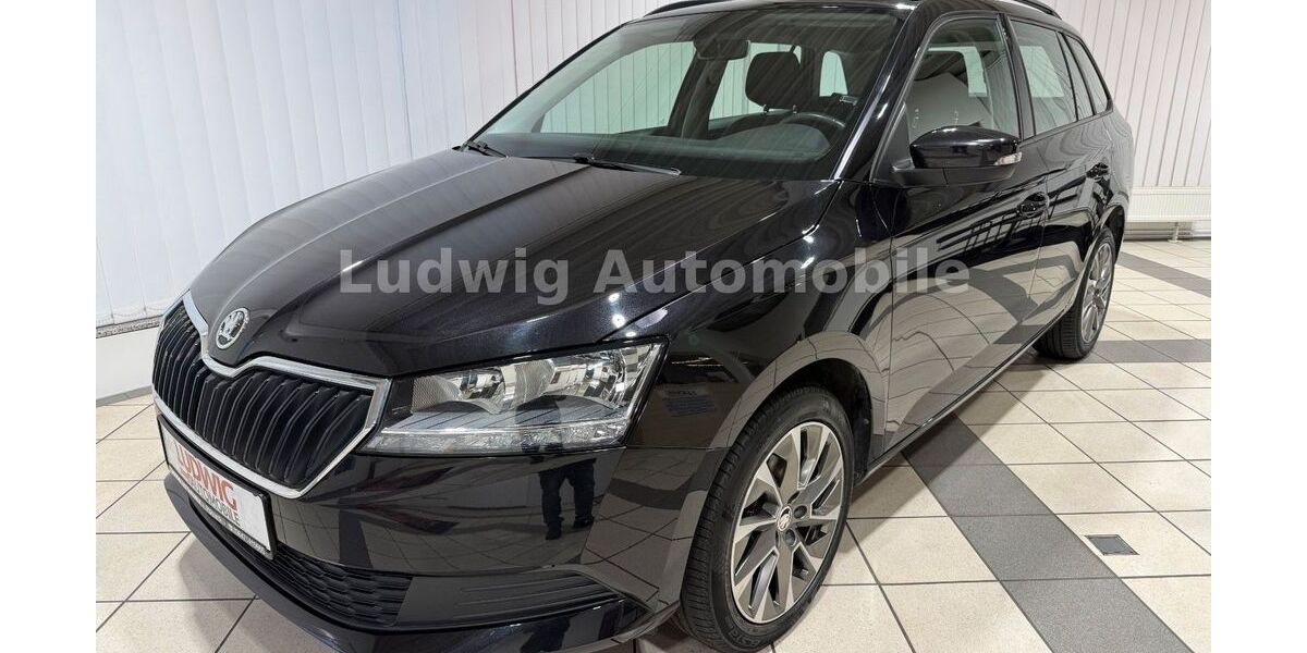 Skoda Fabia 72.782 km 13.480 &euro; Pößneck 07381