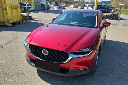 Mazda CX-30 11.000 km 26.800 &euro; Schnaitsee 83530