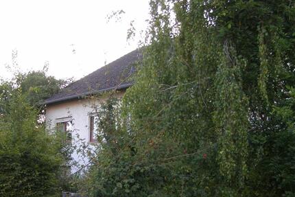 Hofgeismar Kernstadt Einfamiienhaus mit Einliegerwohnung 6 zimmer