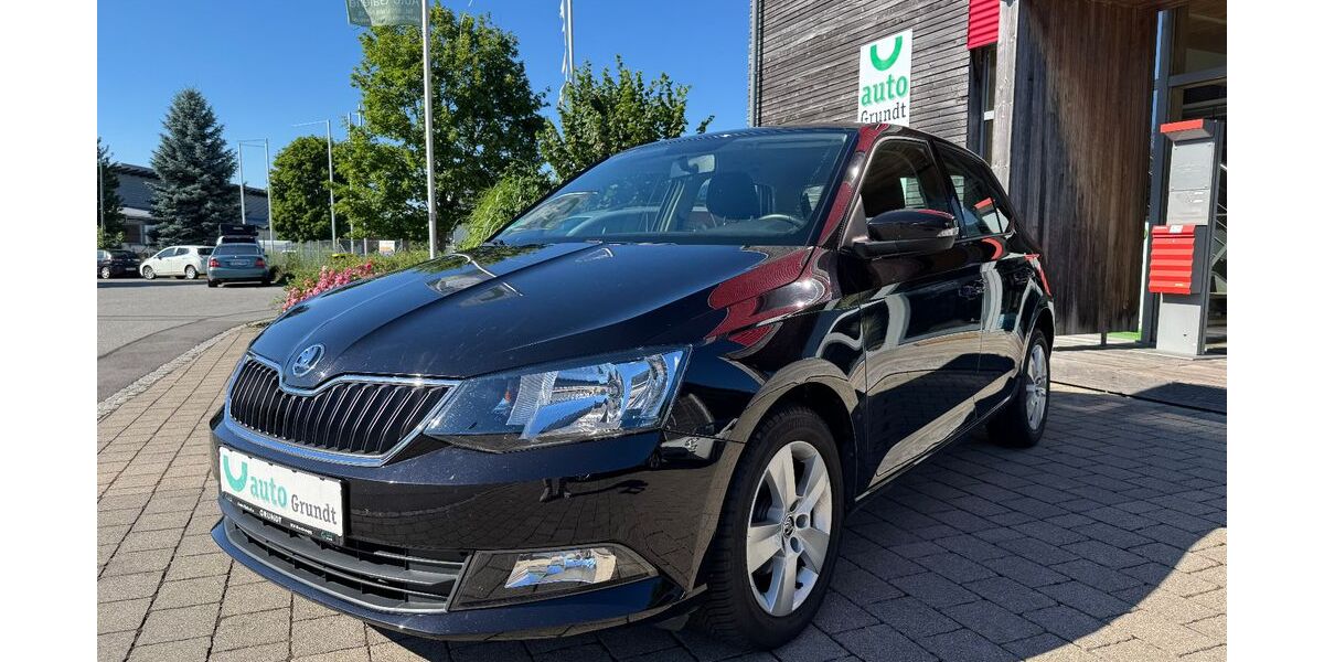 Skoda Fabia 99.856 km 9.300 &euro; Bodnegg - Rotheidlen 88285