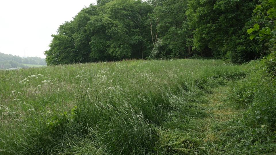 Grundstück Velbert Langenberg - 35&euro; | Angebot:25153317