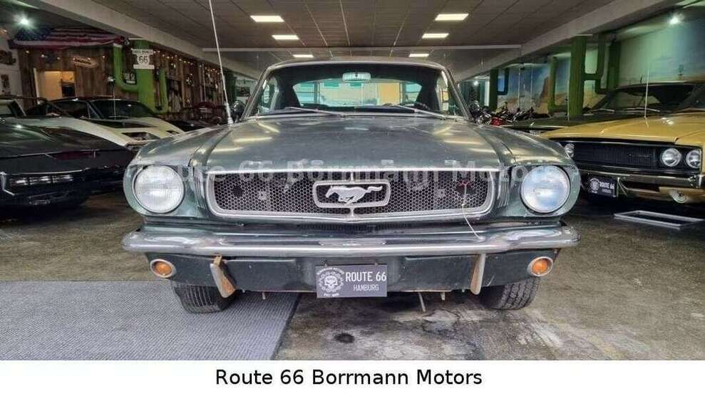 Mustang