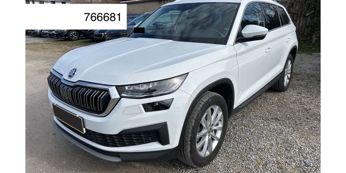 Skoda Kodiaq 176.300 km 23.450 &euro; Steinbach-Hallenberg OT Herges-Hallenberg 98587