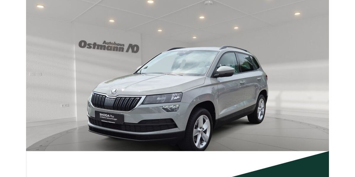 Skoda Karoq 84.833 km 20.980 &euro; Niestetal 34266