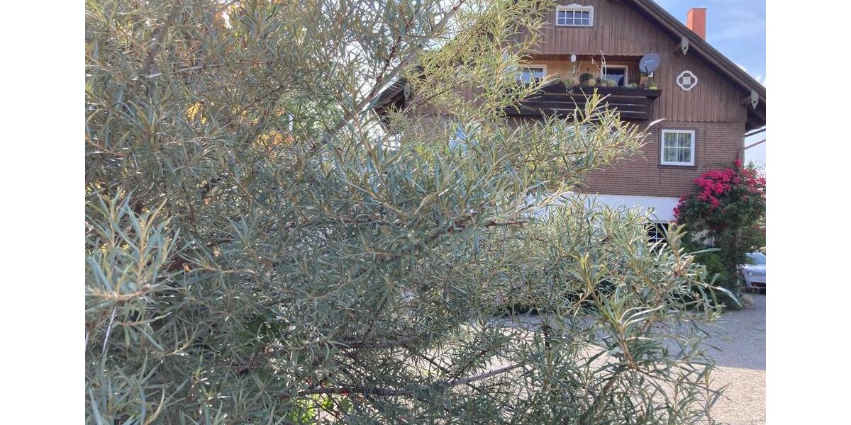 Wohn-Geschäftshaus mit großem Potenzial 14.5 zimmer